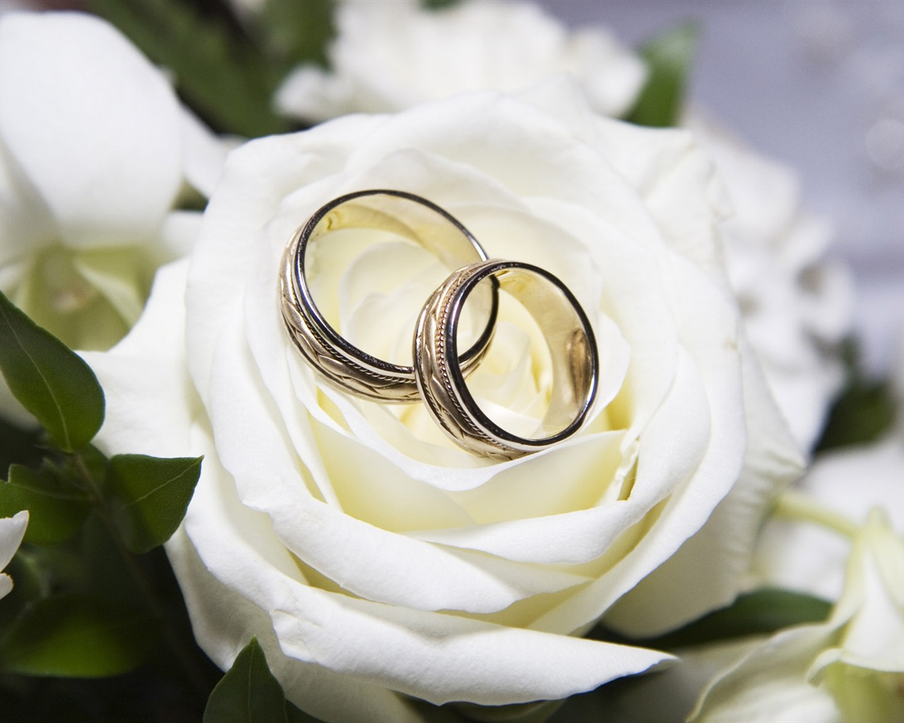 Свадьбы и свадебные кольца обои (1) #3 - 1280x1024