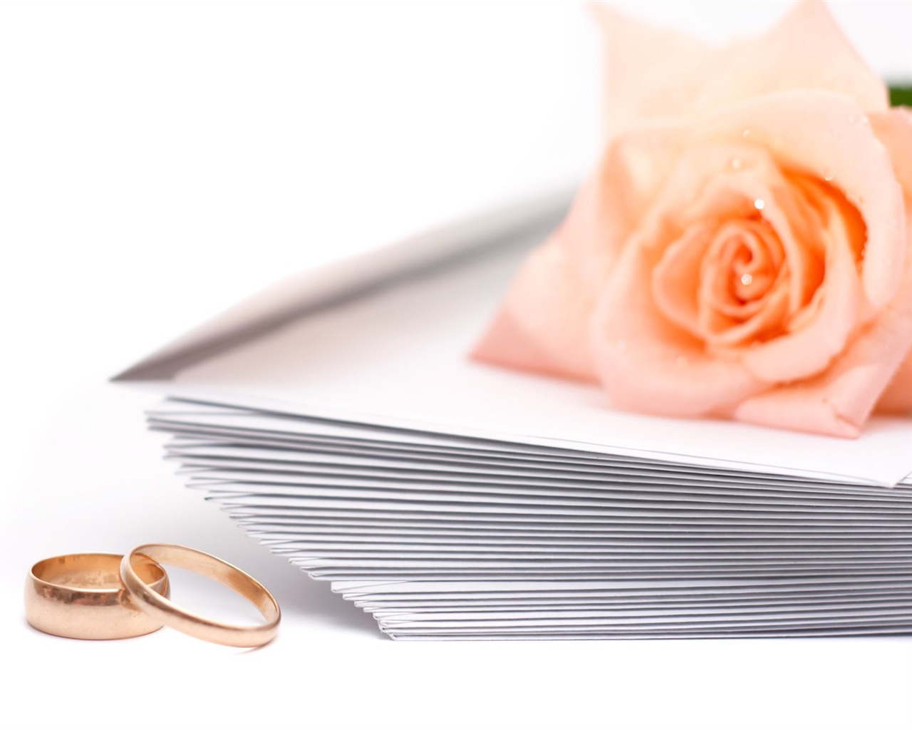 Свадьбы и свадебные кольца обои (1) #6 - 1280x1024