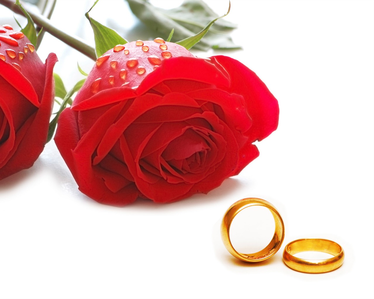 Свадьбы и свадебные кольца обои (1) #12 - 1280x1024