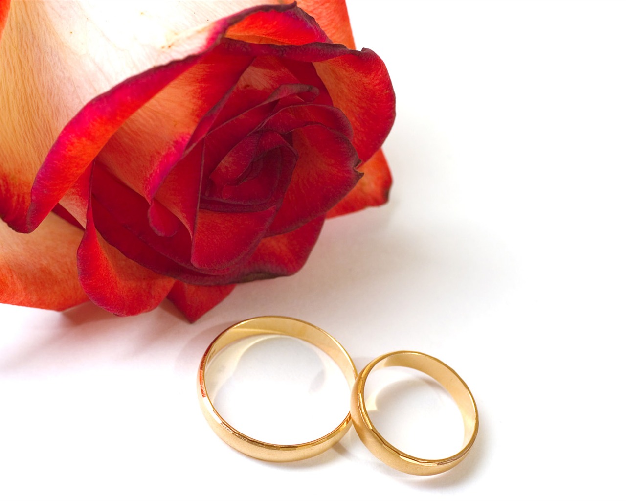 Свадьбы и свадебные кольца обои (2) #6 - 1280x1024