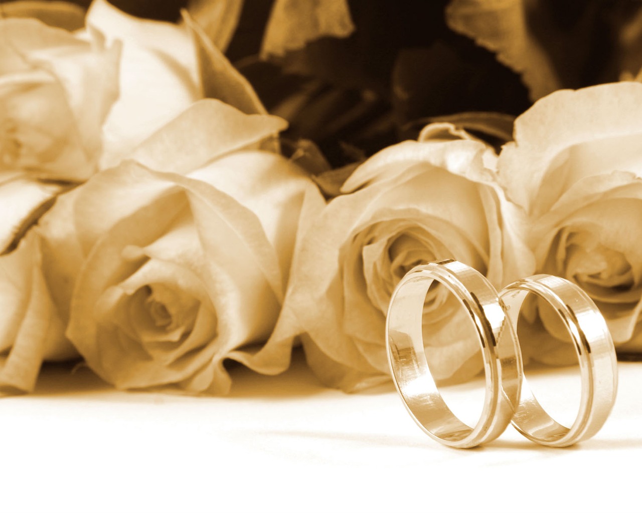 Bodas y fondos de escritorio de anillo de bodas (2) #9 - 1280x1024