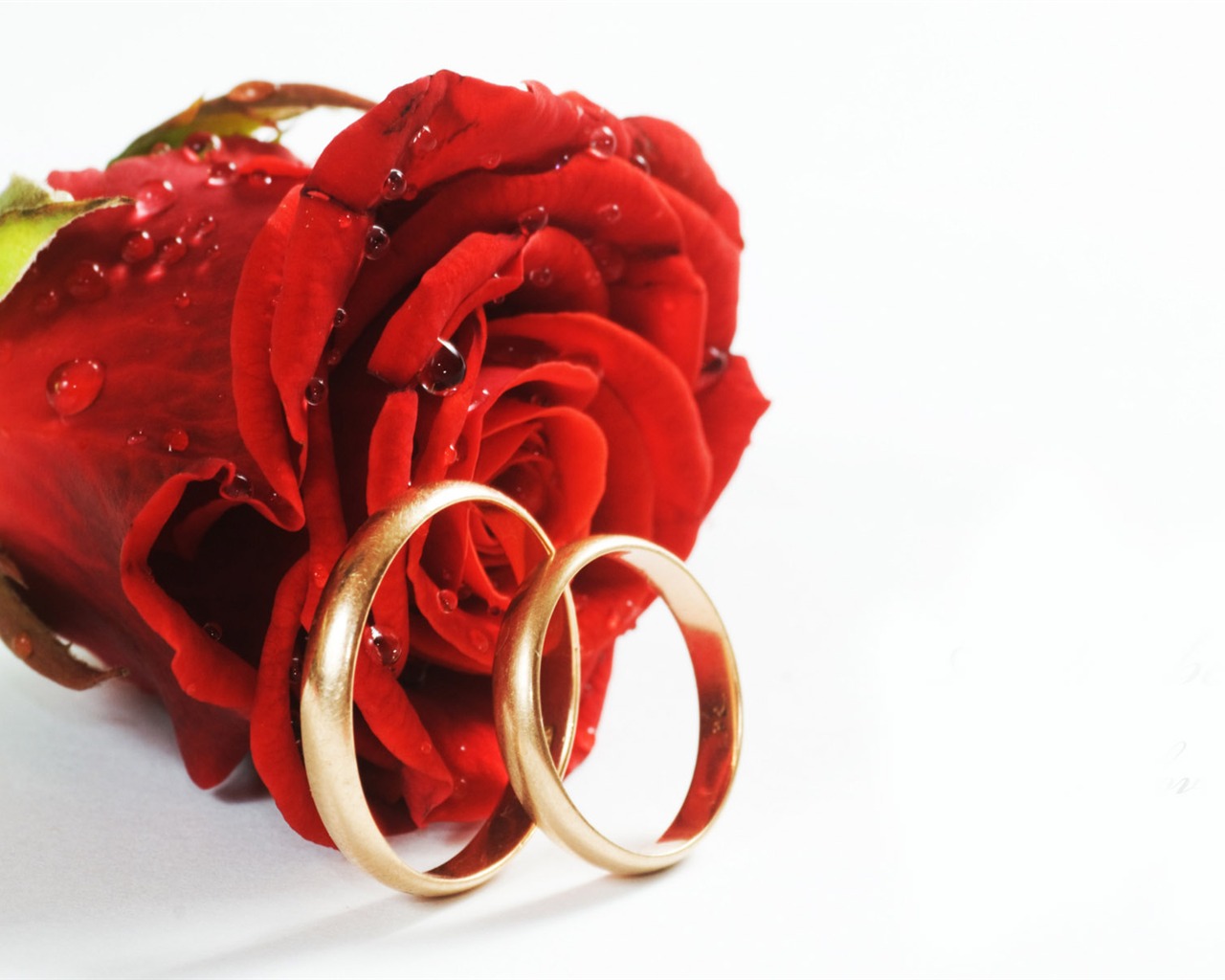 Свадьбы и свадебные кольца обои (2) #11 - 1280x1024