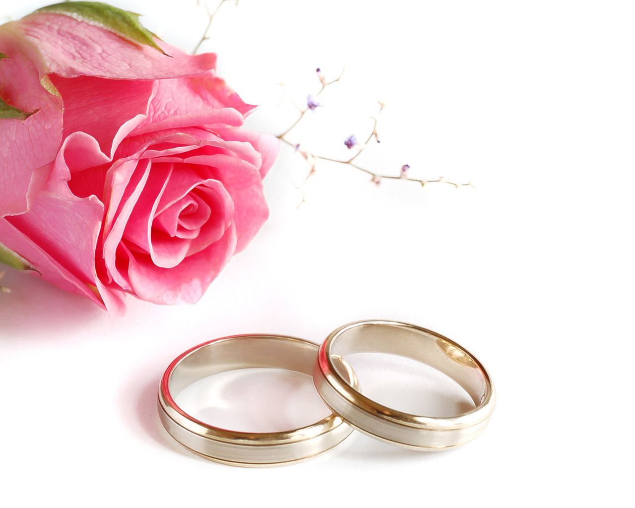 Свадьбы и свадебные кольца обои (2) #12 - 1280x1024