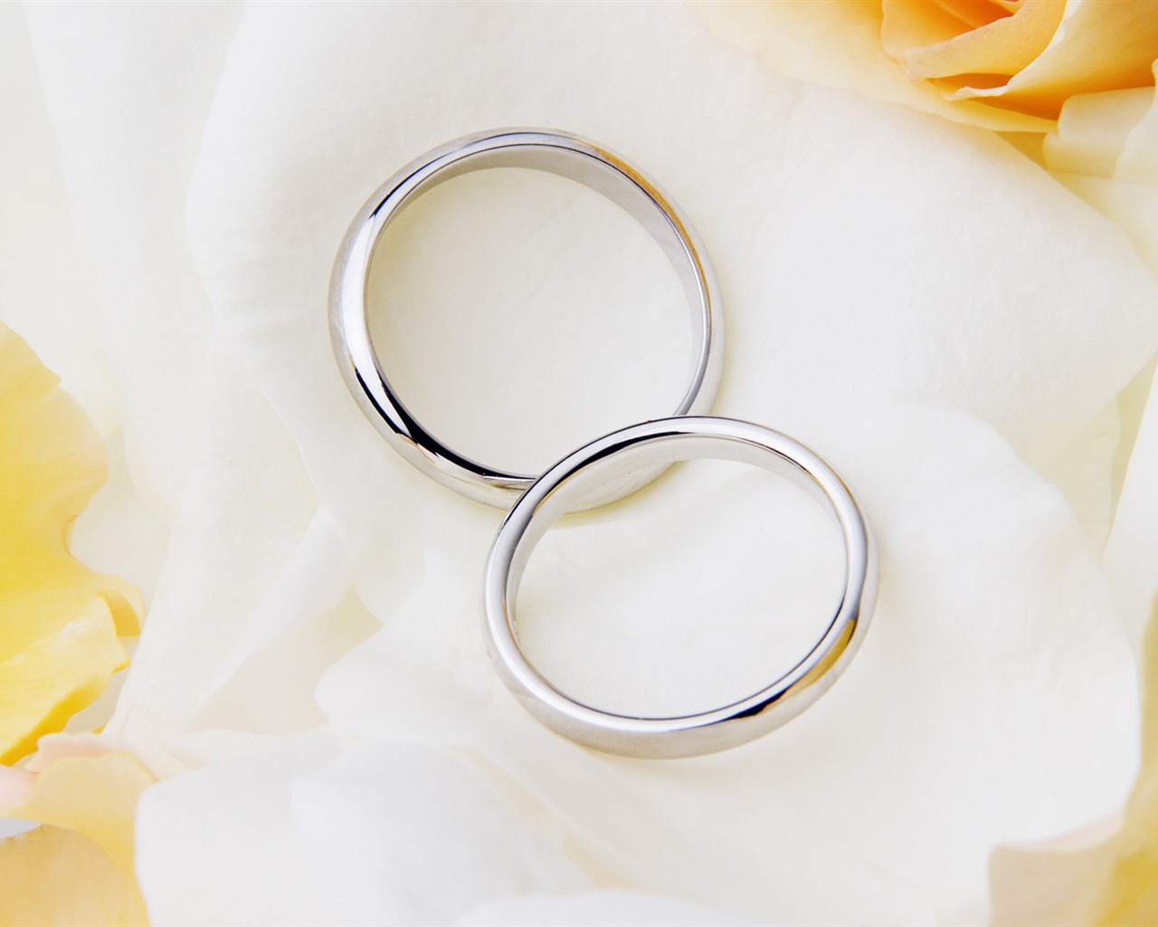 Свадьбы и свадебные кольца обои (2) #17 - 1280x1024