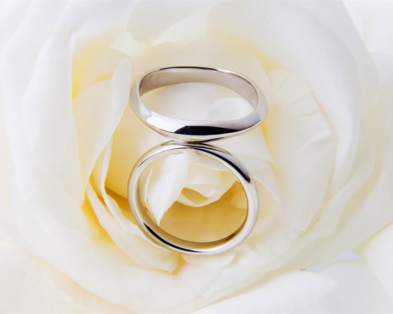 Svatby a svatební prsten tapety (2) #18 - 1280x1024