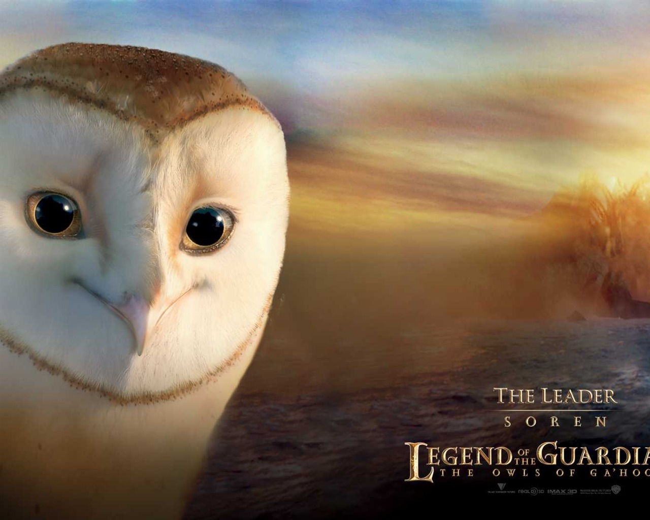 Legend of the Guardians: The Owls of Ga'Hoole 守卫者传奇(一)16 - 1280x1024