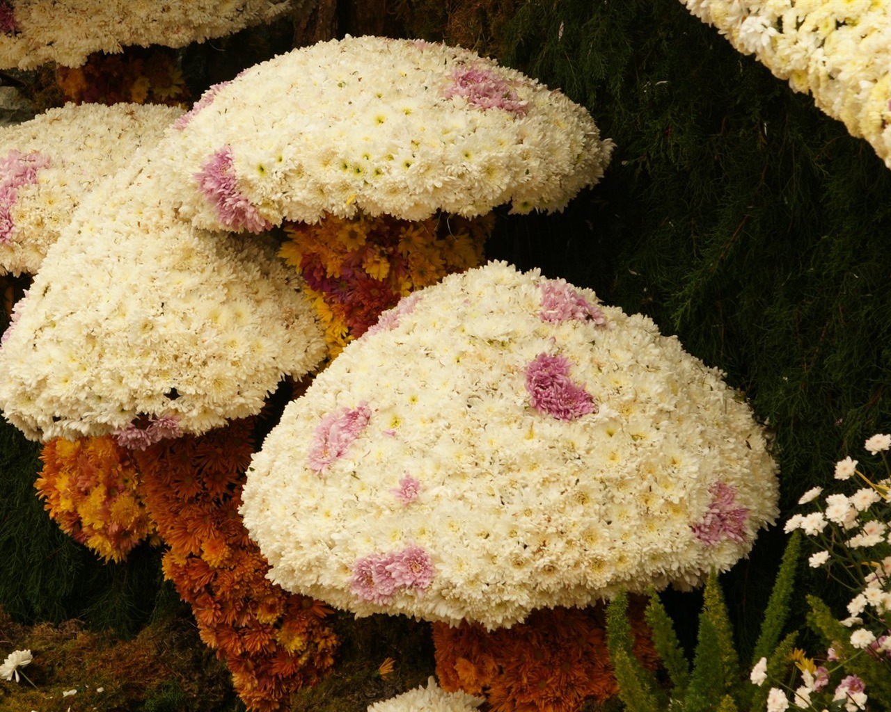 Bunte Blumen schmücken Tapete (1) #6 - 1280x1024