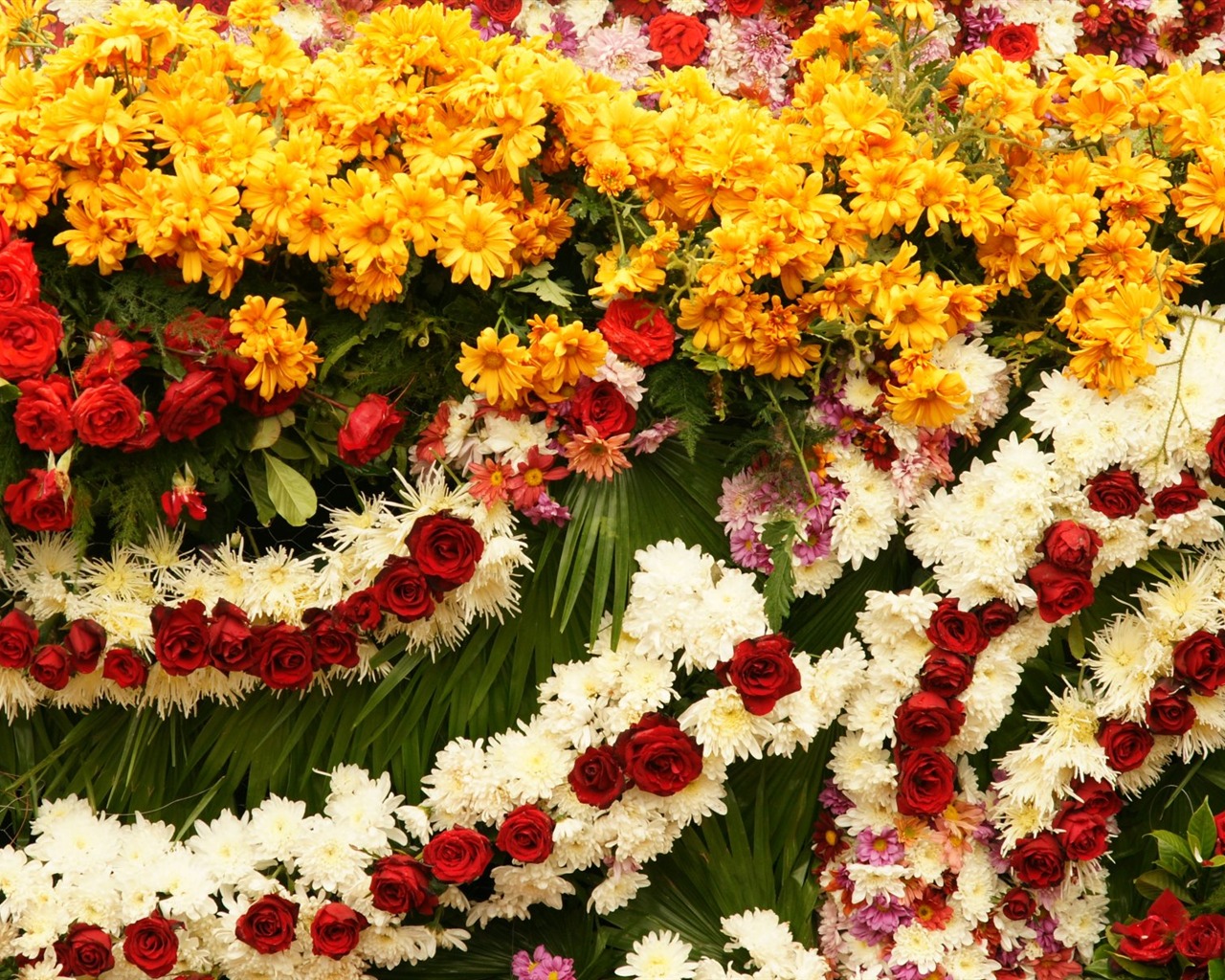 fleurs colorées décorent fond d'écran (1) #8 - 1280x1024