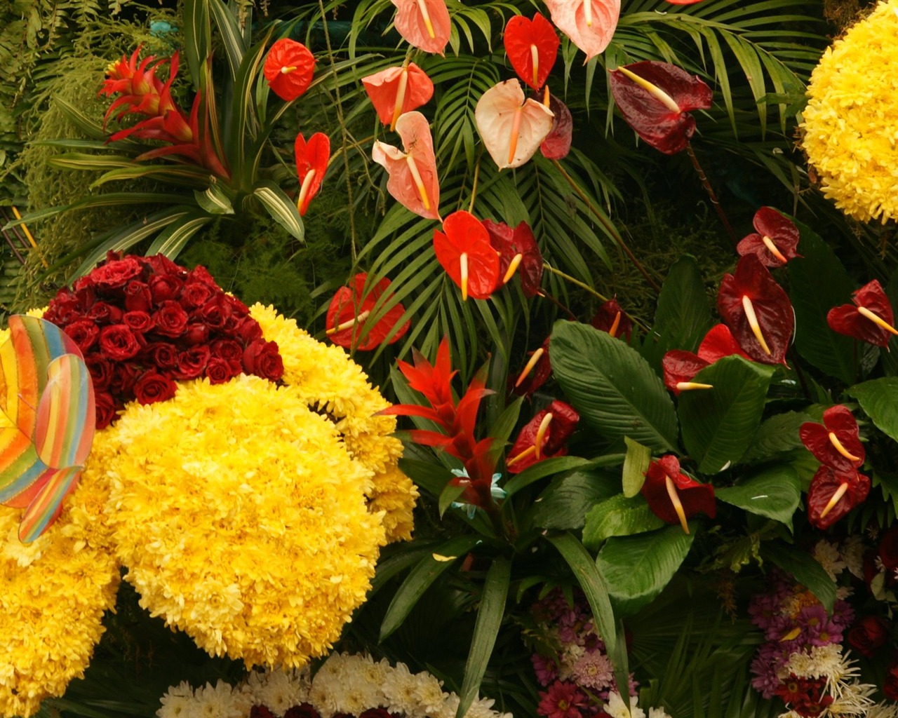 fleurs colorées décorent fond d'écran (1) #9 - 1280x1024