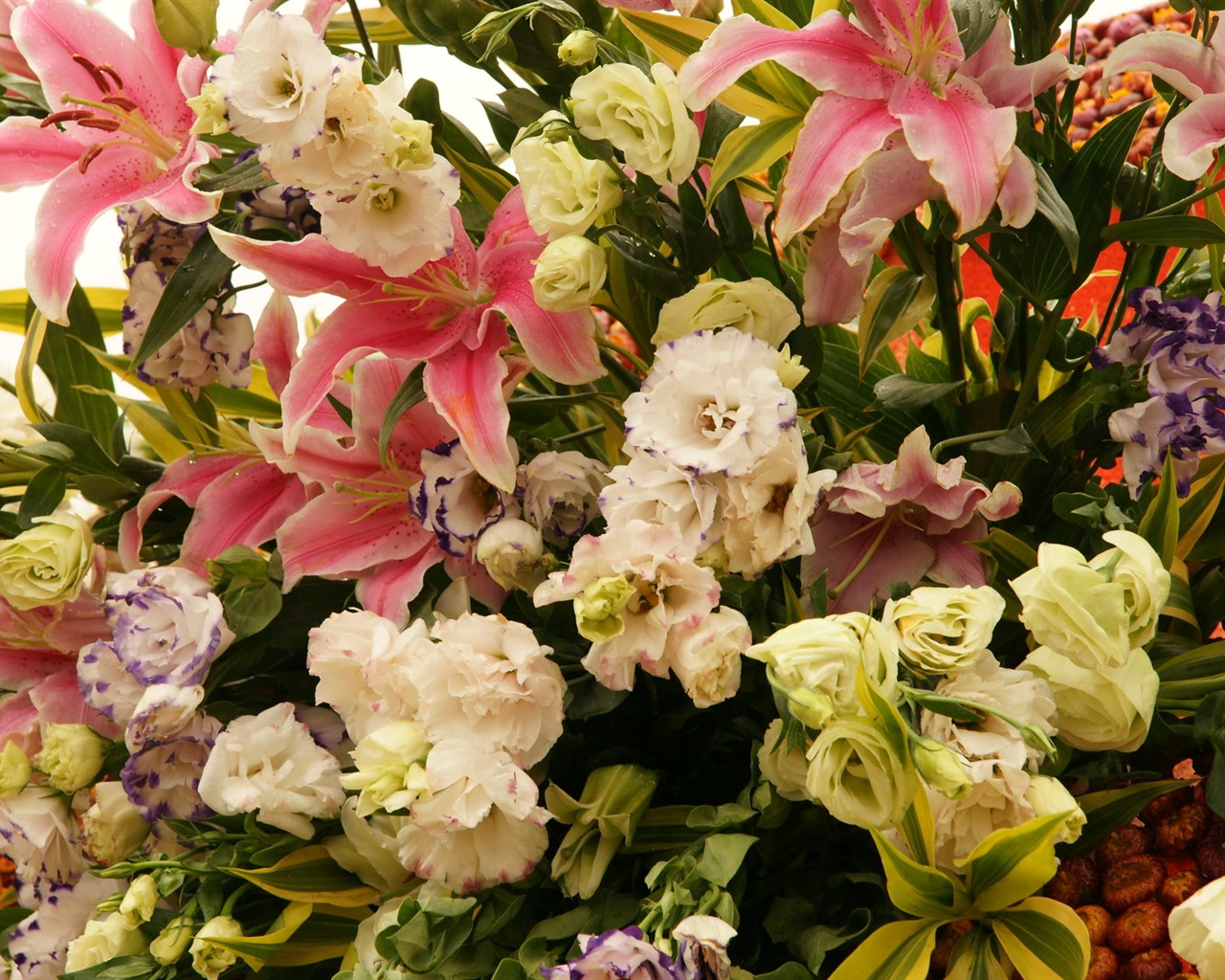 fleurs colorées décorent fond d'écran (1) #20 - 1280x1024