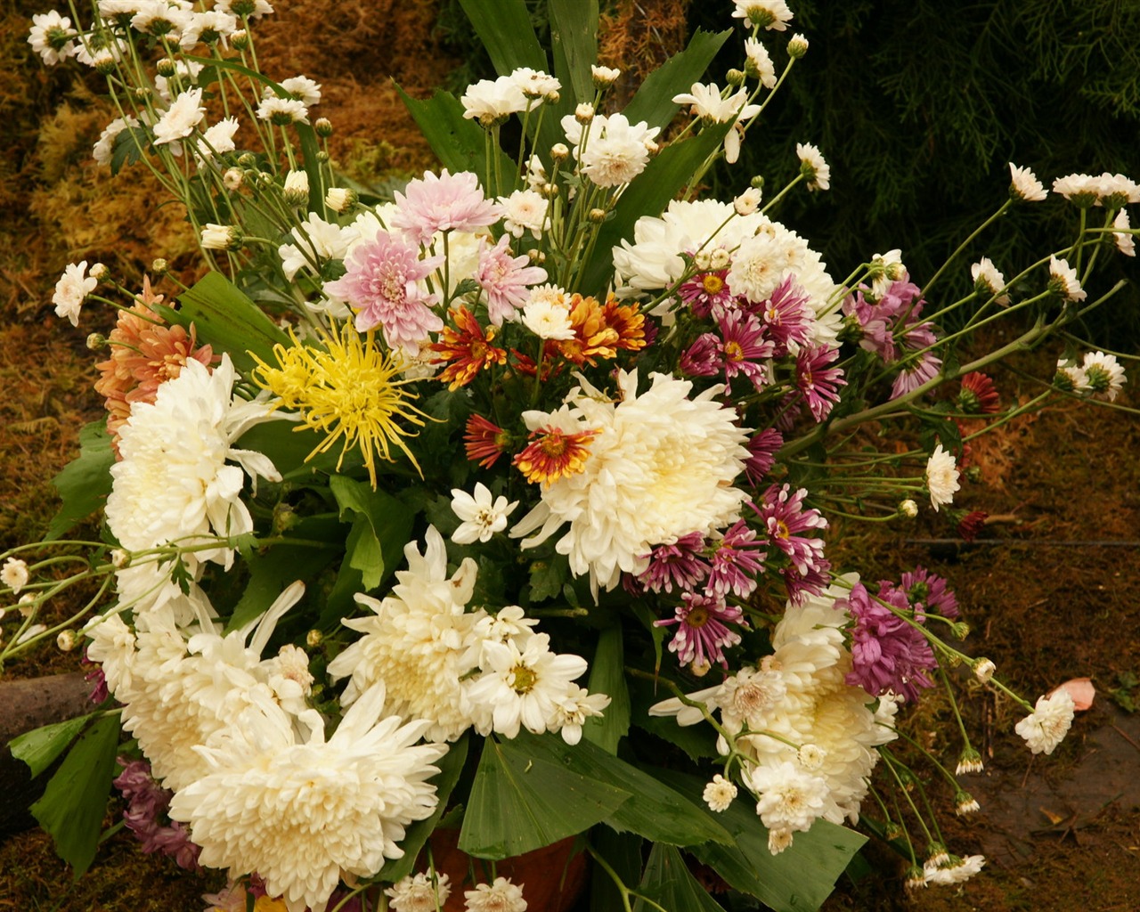 fleurs colorées décorent fond d'écran (3) #1 - 1280x1024
