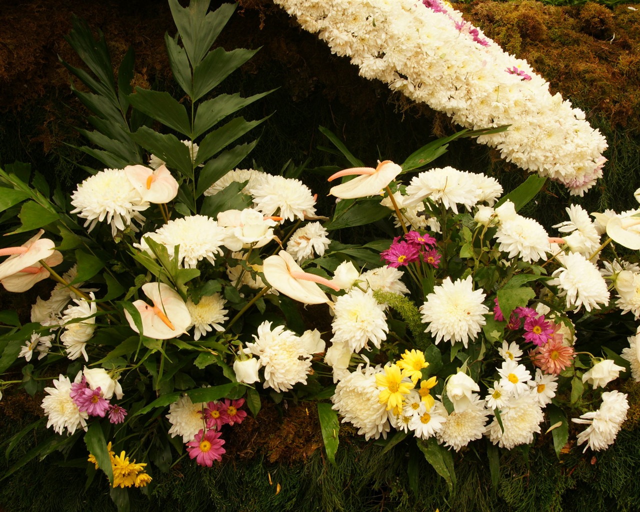 fleurs colorées décorent fond d'écran (3) #9 - 1280x1024