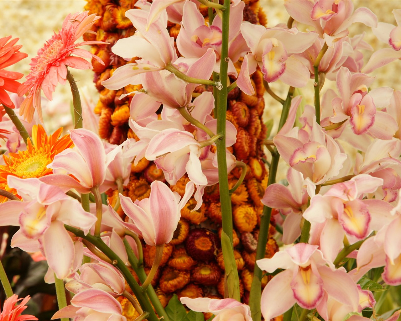 Širokoúhlý tapety květiny close-up (31) #19 - 1280x1024