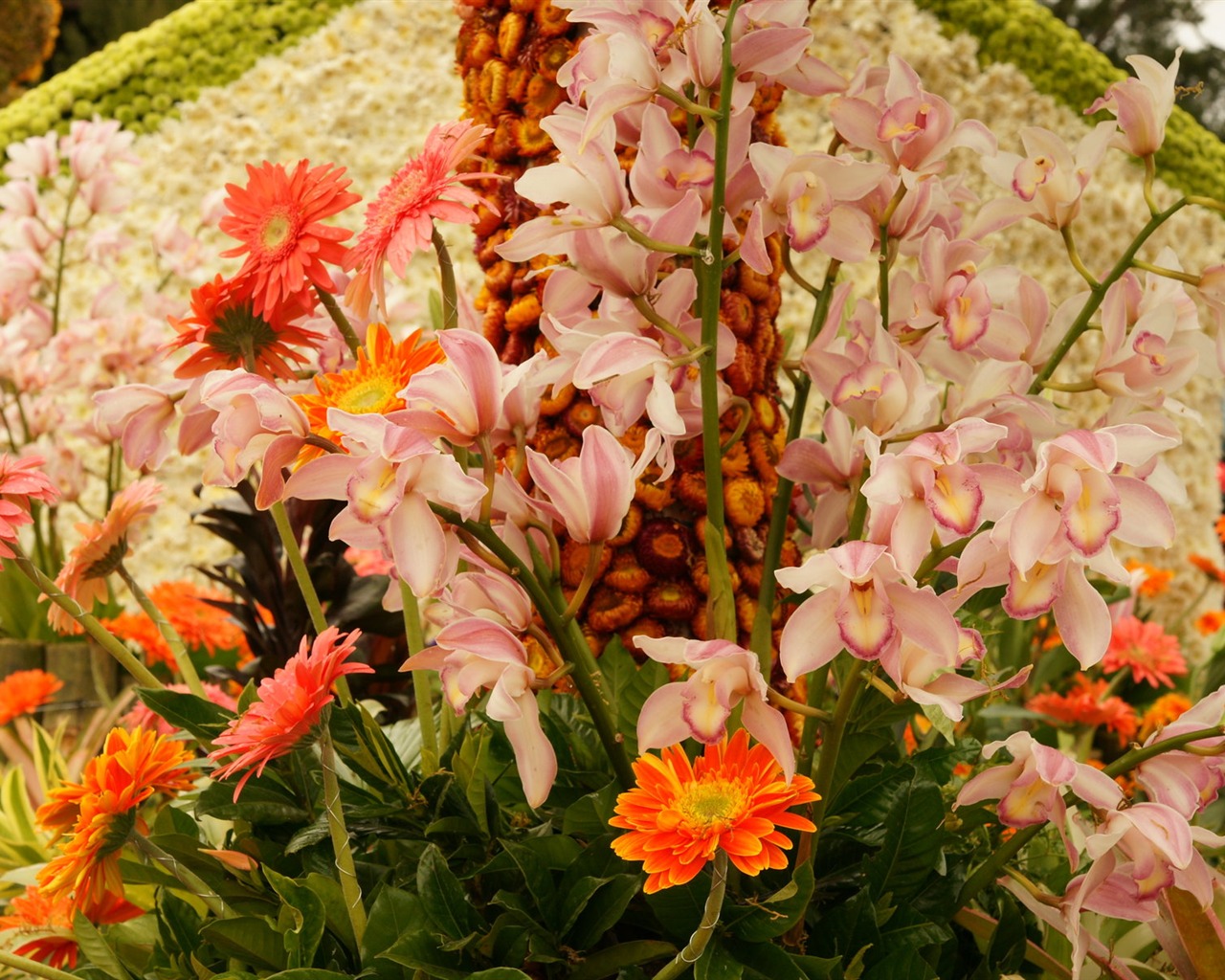 fleurs fond d'écran Widescreen close-up (31) #20 - 1280x1024