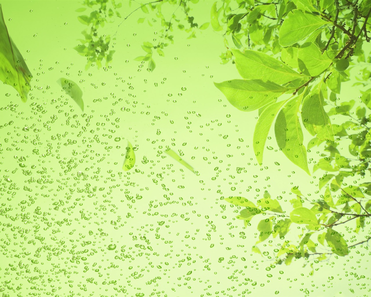 Zelená a přírodní Wallpaper (3) #19 - 1280x1024