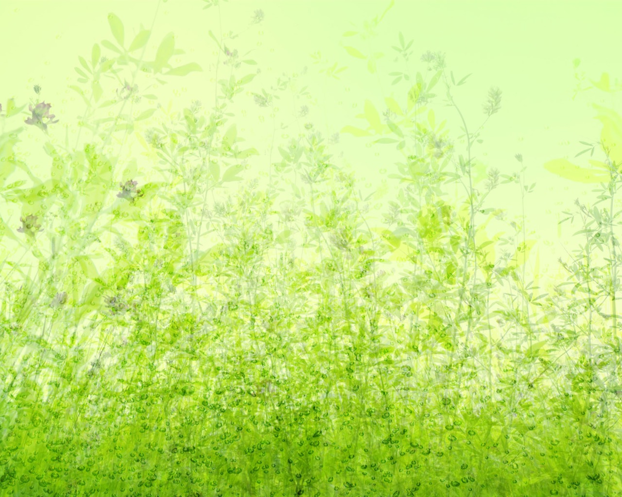 Zelená a přírodní Wallpaper (4) #11 - 1280x1024