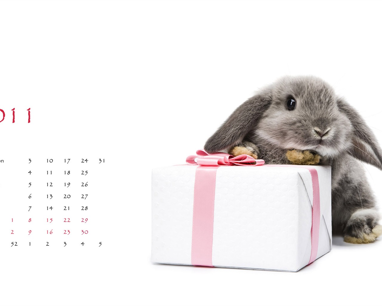Rok 2011 králíka kalendář tapety (1) #2 - 1280x1024