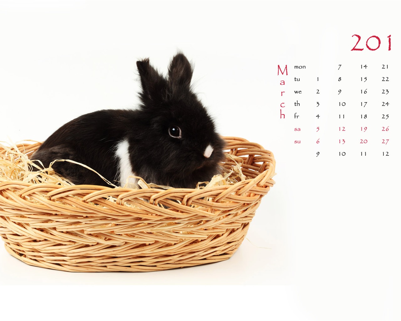 Год Кролика 2011 календарь обои (1) #3 - 1280x1024