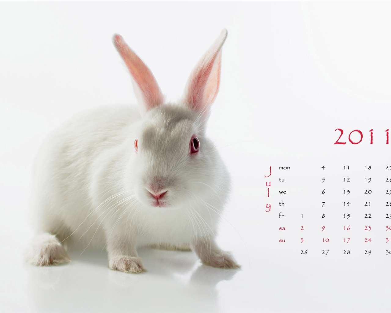 Год Кролика 2011 календарь обои (1) #7 - 1280x1024