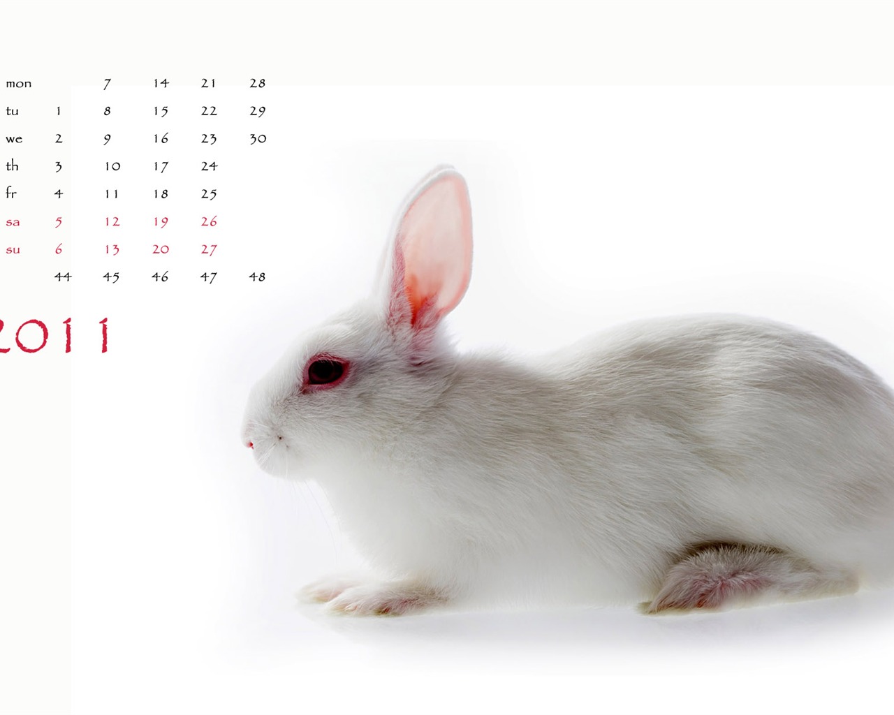 Год Кролика 2011 календарь обои (1) #11 - 1280x1024