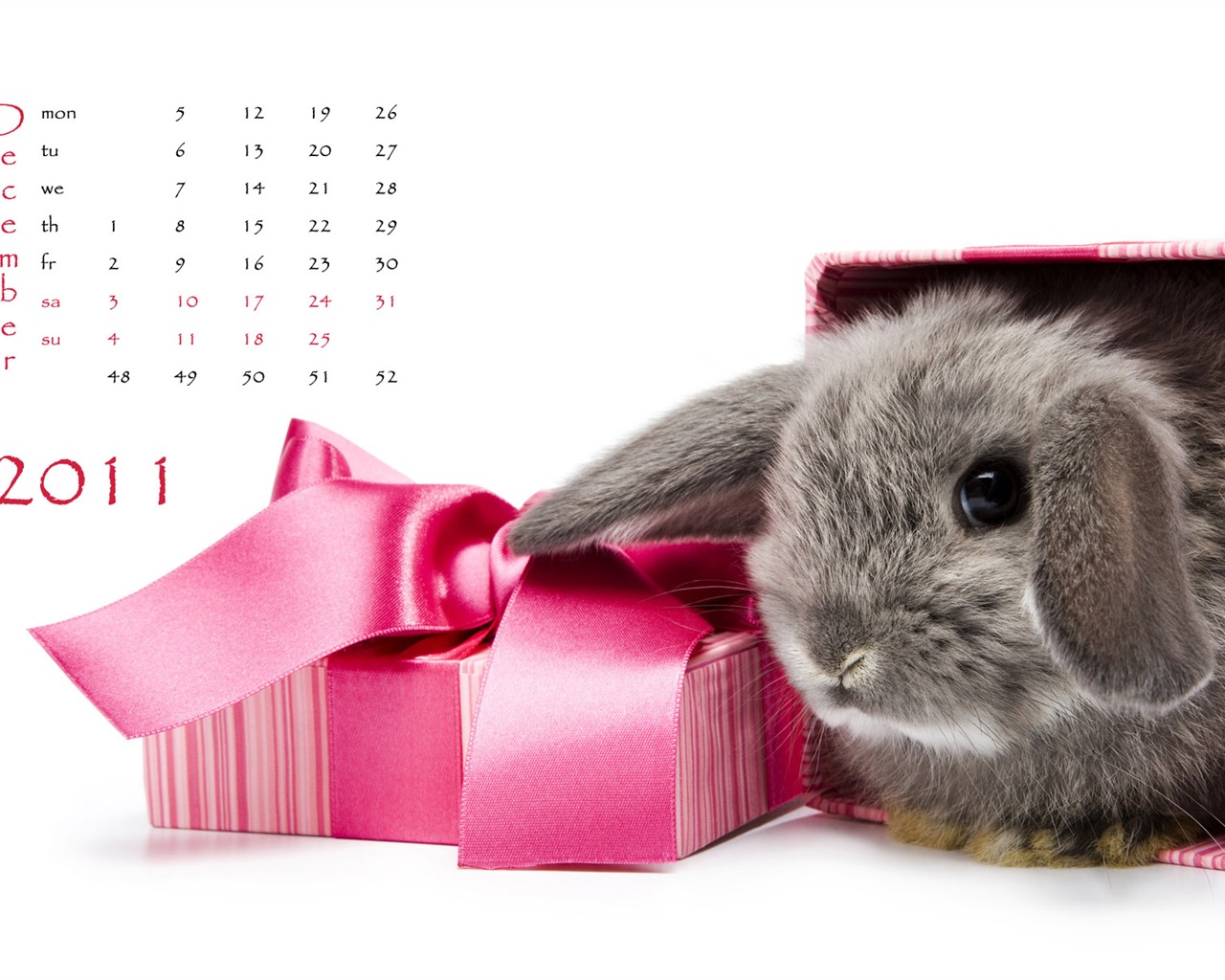 Año del Conejo fondos de escritorio calendario 2011 (1) #12 - 1280x1024