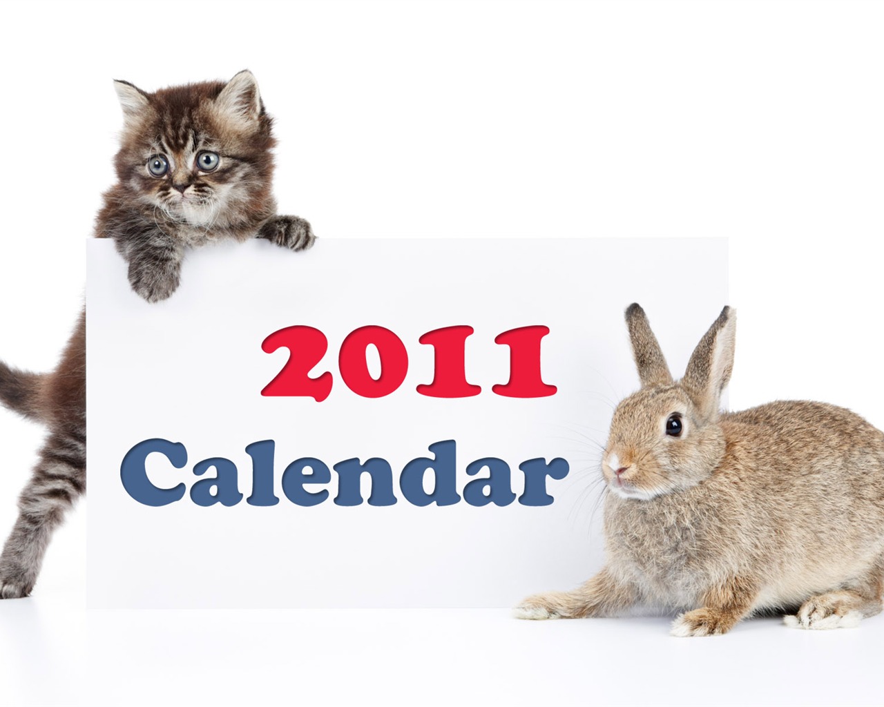 Year of the Rabbit 2011 calendar wallpaper (1) #13 - 1280x1024