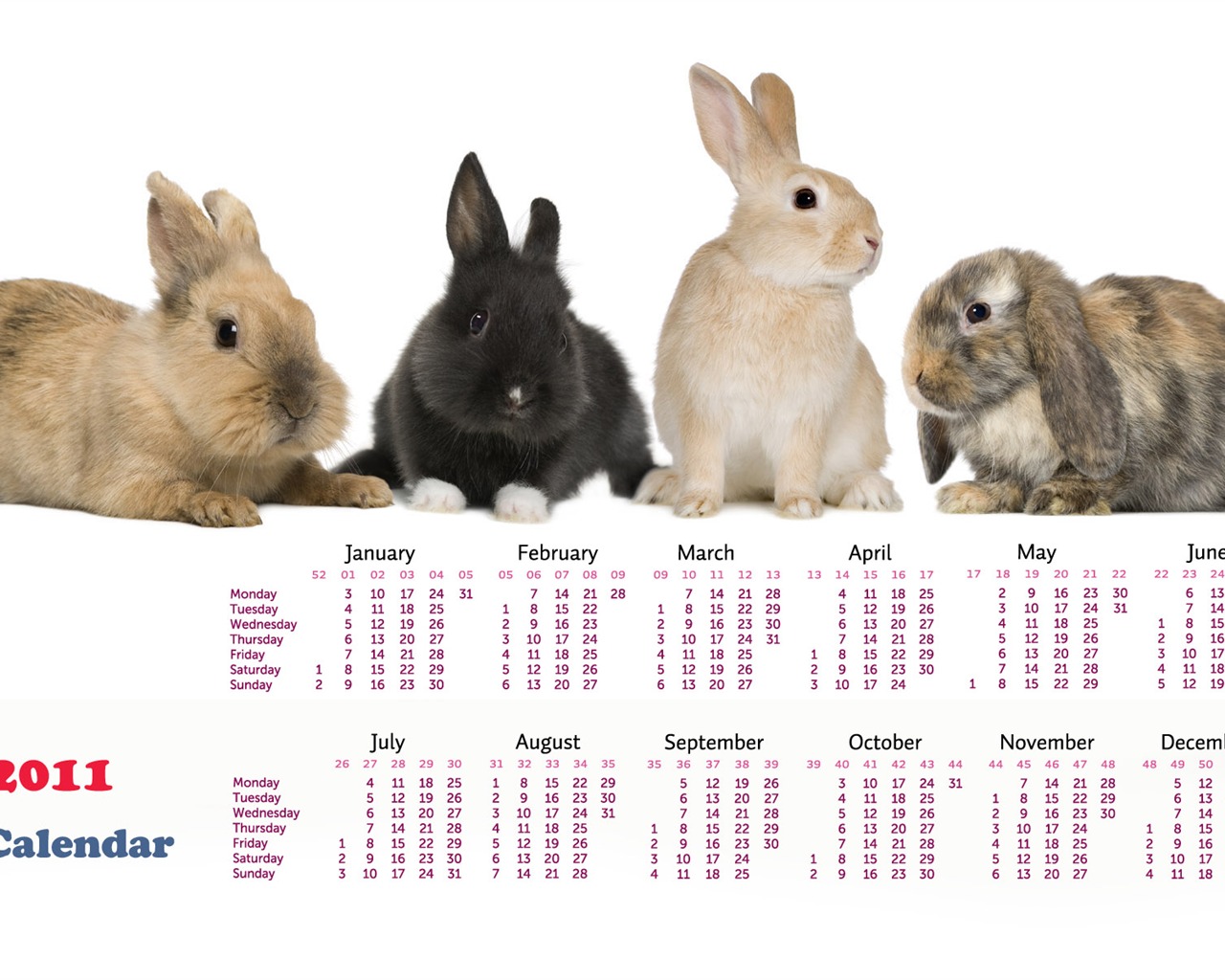 Year of the Rabbit 2011 calendar wallpaper (1) #16 - 1280x1024