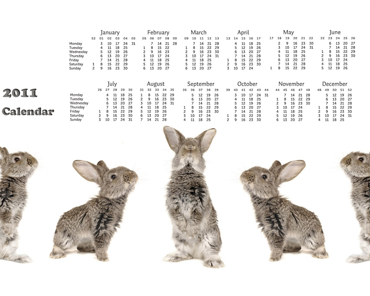 Année du papier peint Rabbit calendrier 2011 (1) #18 - 1280x1024
