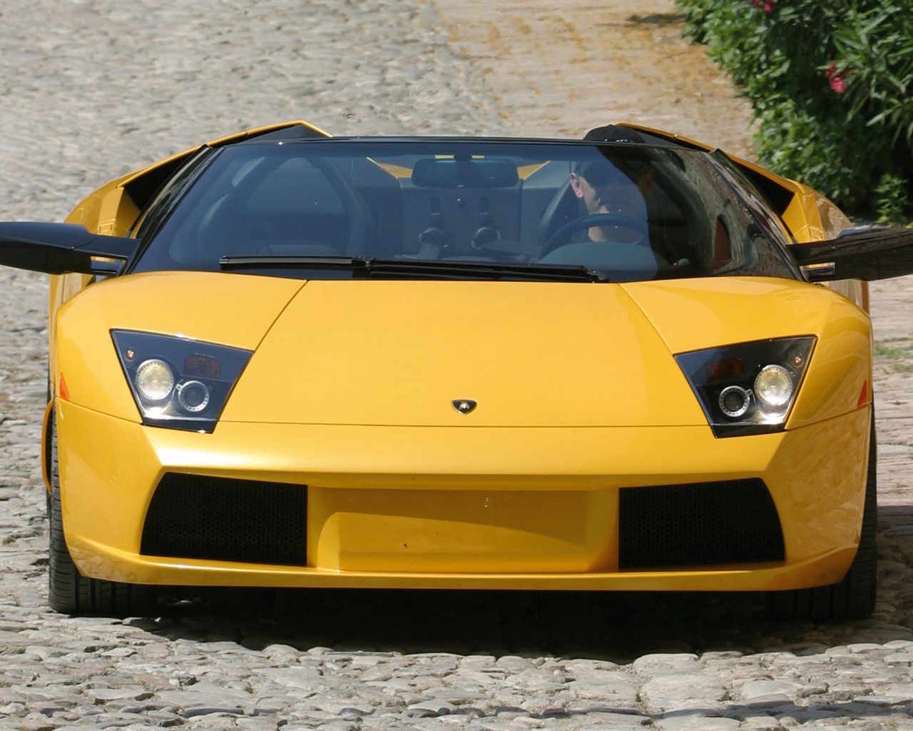 Lamborghini Murcielago Roadster - 2004 fonds d'écran HD #1 - 1280x1024