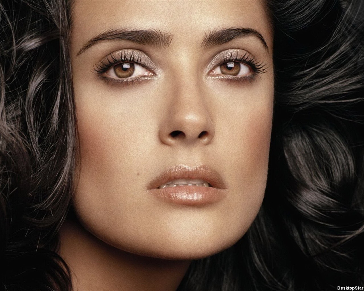 Salma Hayek beautiful wallpaper (1) #18 - 1280x1024