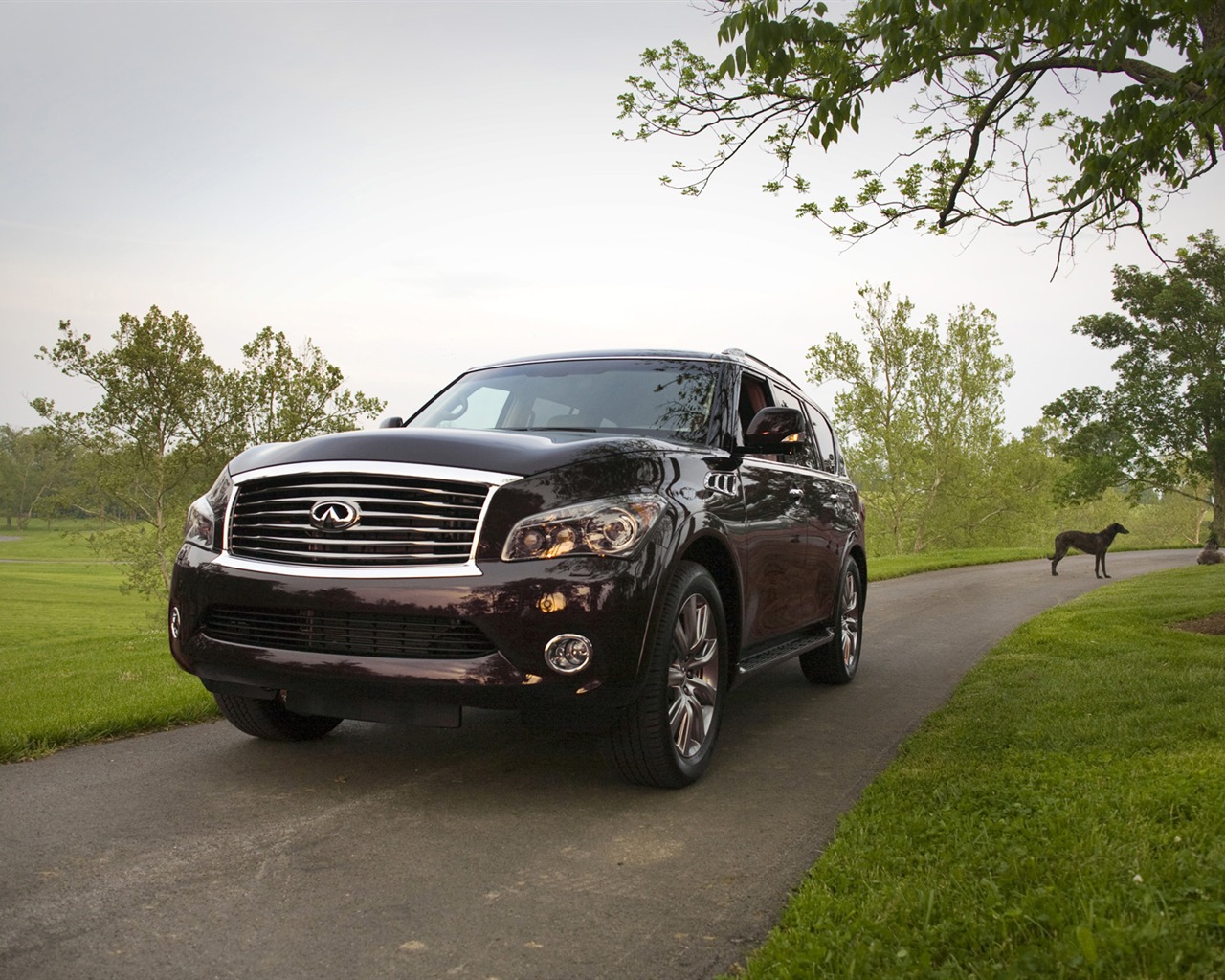 Infiniti QX56 - 2011의 HD 벽지 #1 - 1280x1024