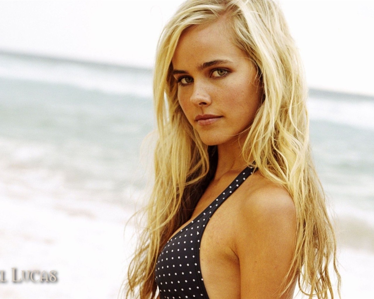 Isabel Lucas hermosos fondos de escritorio #1 - 1280x1024