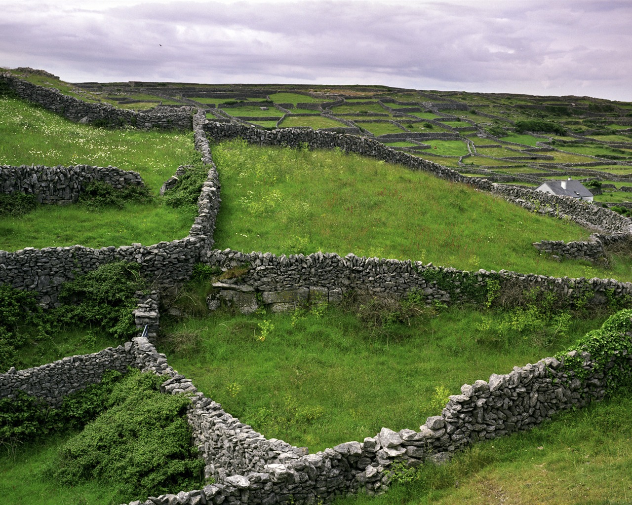 Красивые пейзажи Ирландии обои #2 - 1280x1024