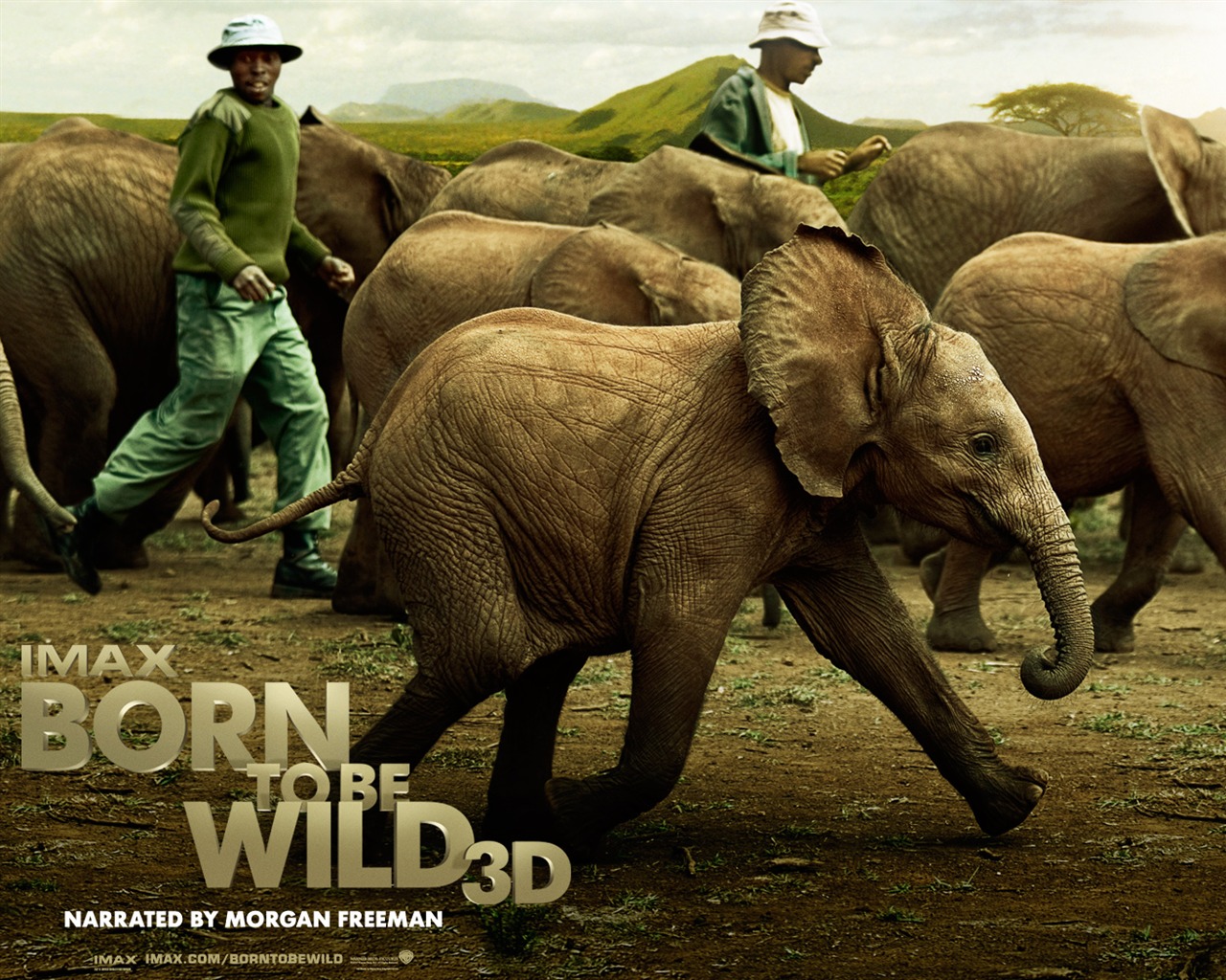 Born To Be Wild wallpapers #4 - 1280x1024