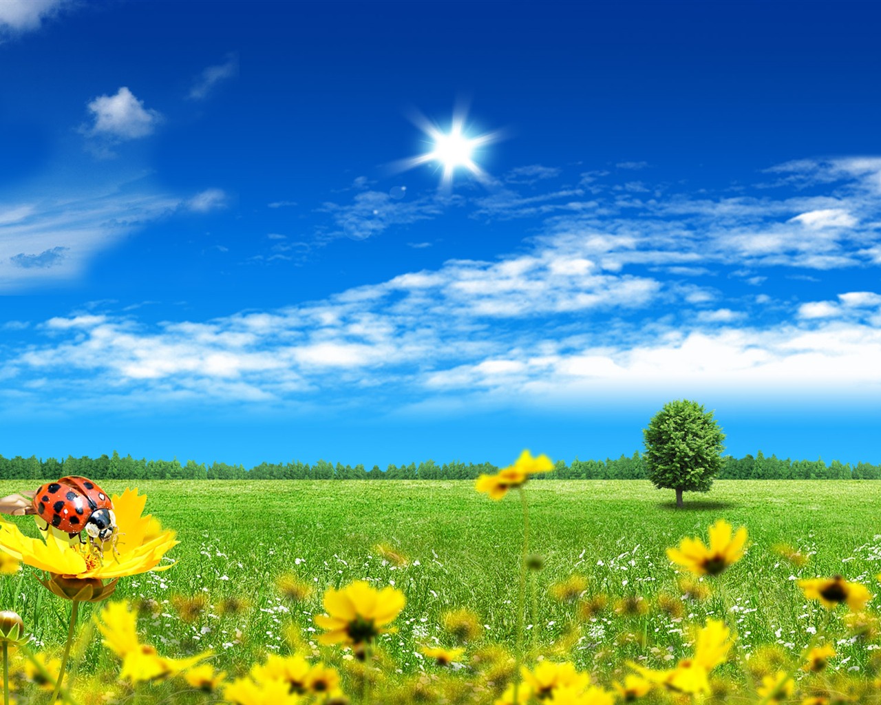 Photoshop fond d'écran paysage d'été ensoleillée (2) #8 - 1280x1024