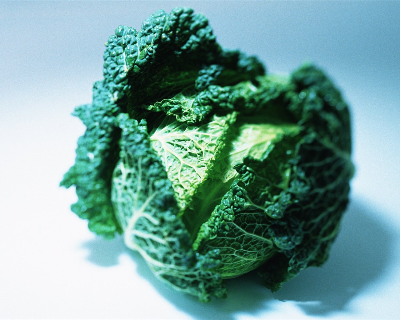 Обои зеленые здоровые овощи #10 - 1280x1024