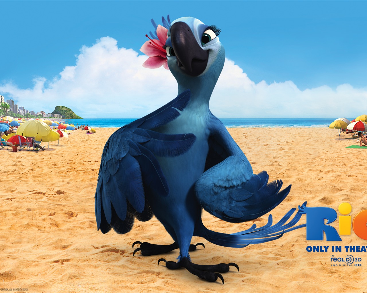 Rio 2011 里约大冒险 壁纸专辑5 - 1280x1024