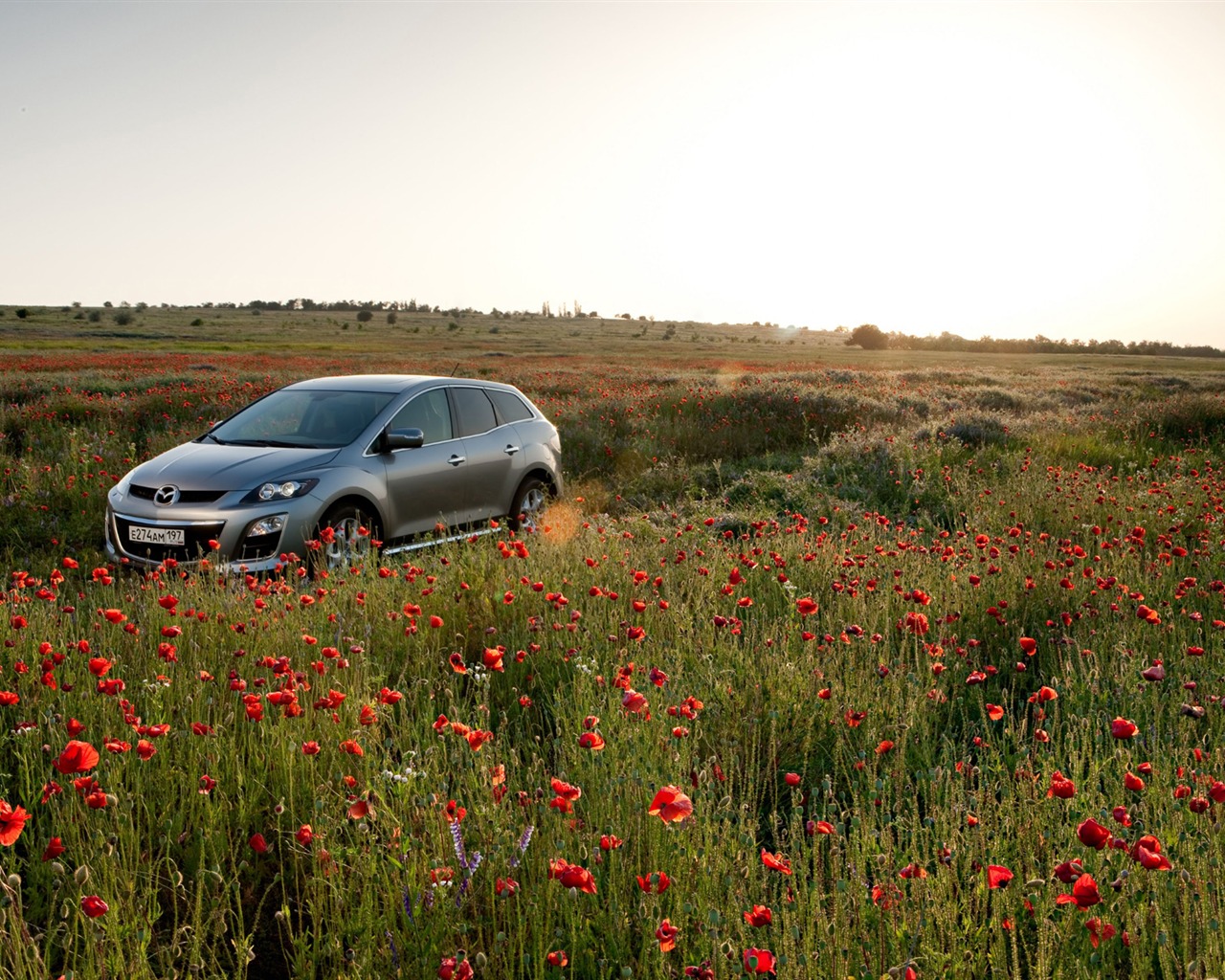 Mazda CX-7 - 2010 马自达57 - 1280x1024