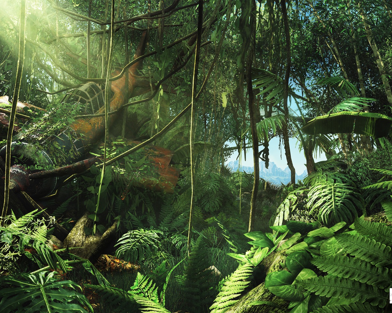 Far Cry 3 HD wallpapers #3 - 1280x1024