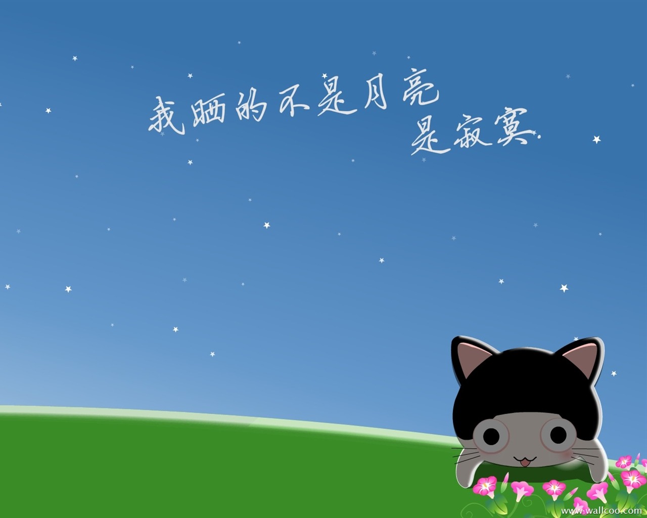 猫咪宝贝 卡通壁纸(三)17 - 1280x1024