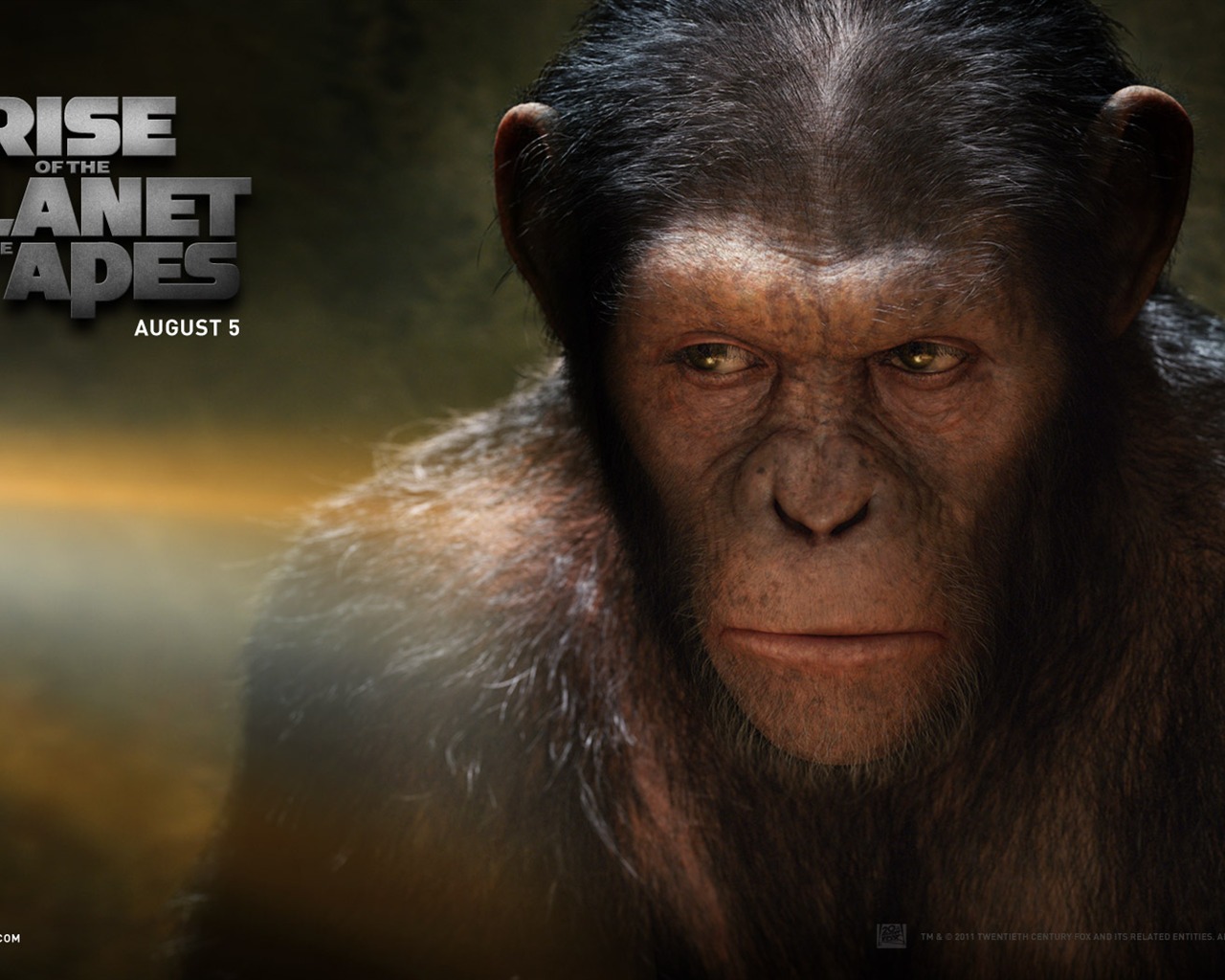 Rise of the Planet of the Apes 猿族崛起 壁纸专辑1 - 1280x1024