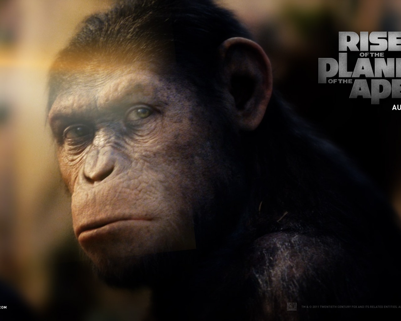 Rise of the Planet of the Apes wallpapers #2 - 1280x1024