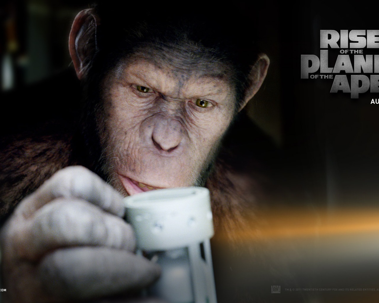 Rise of the Planet of Apes les fonds d'écran #3 - 1280x1024
