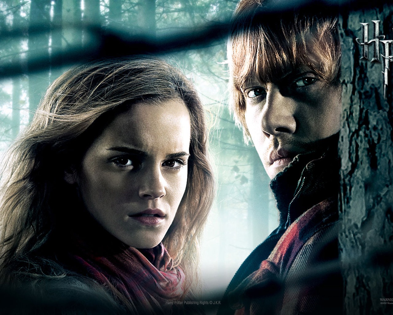 2011 Harry Potter a Relikvie smrti HD tapety na plochu #4 - 1280x1024