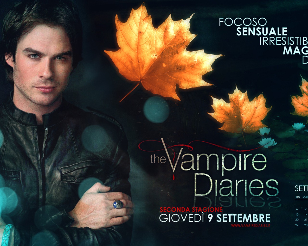 The Vampire Diaries HD 吸血鬼日记 高清壁纸16 - 1280x1024