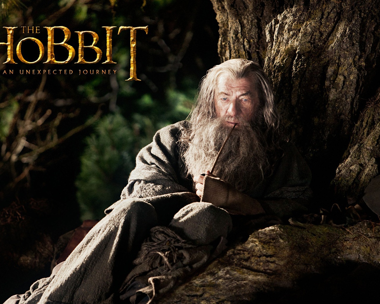 El Hobbit: Un viaje inesperado fondos de pantalla HD #10 - 1280x1024