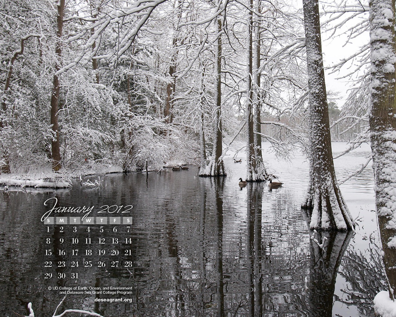 Январь 2012 Календарь Обои #2 - 1280x1024