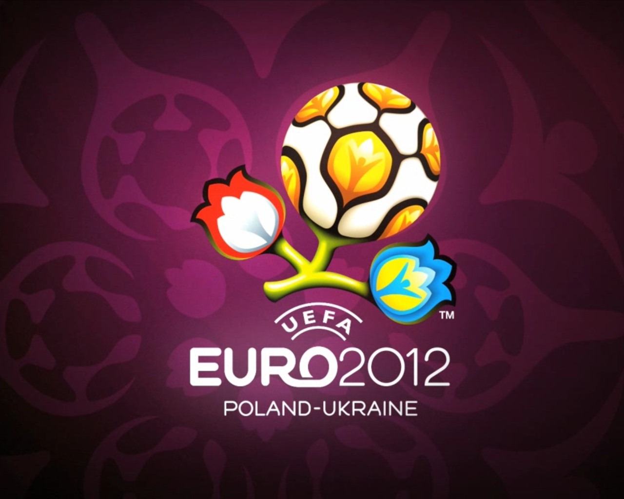 UEFA EURO 2012 欧洲足球锦标赛 高清壁纸(二)15 - 1280x1024