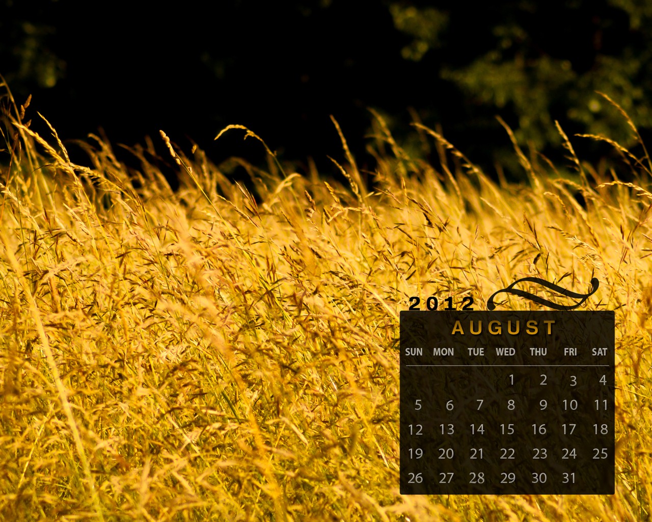 August 2012 Calendar wallpapers (1) #2 - 1280x1024