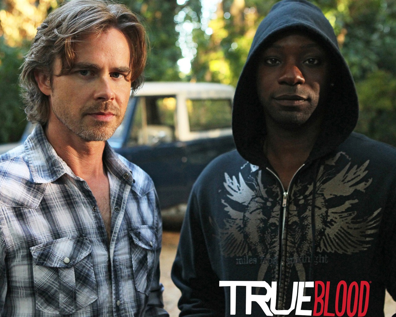 True Blood сериал HD обои #19 - 1280x1024